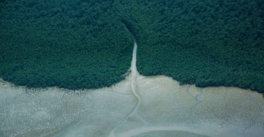 foz do Amazonas 8 paises afetados