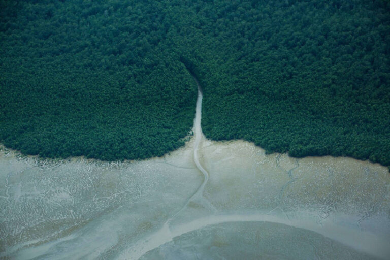 foz do Amazonas 8 paises afetados