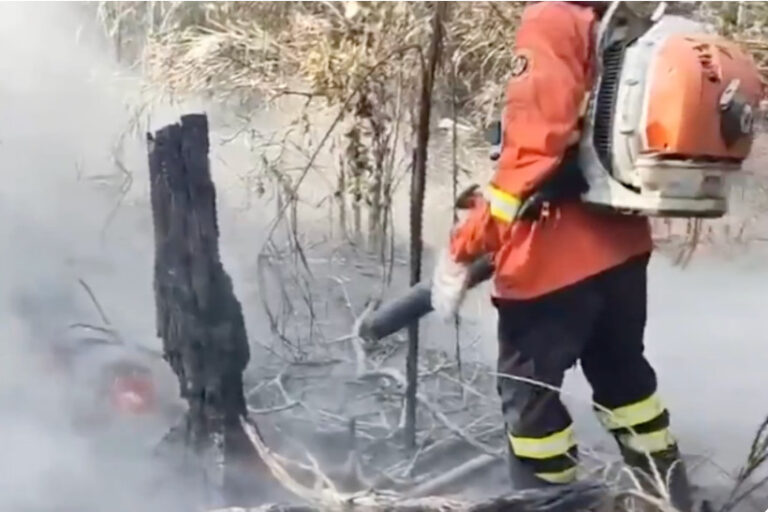 onda de calor queimadas Pantanal