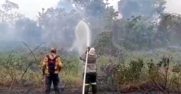 queimadas Pantanal 2023