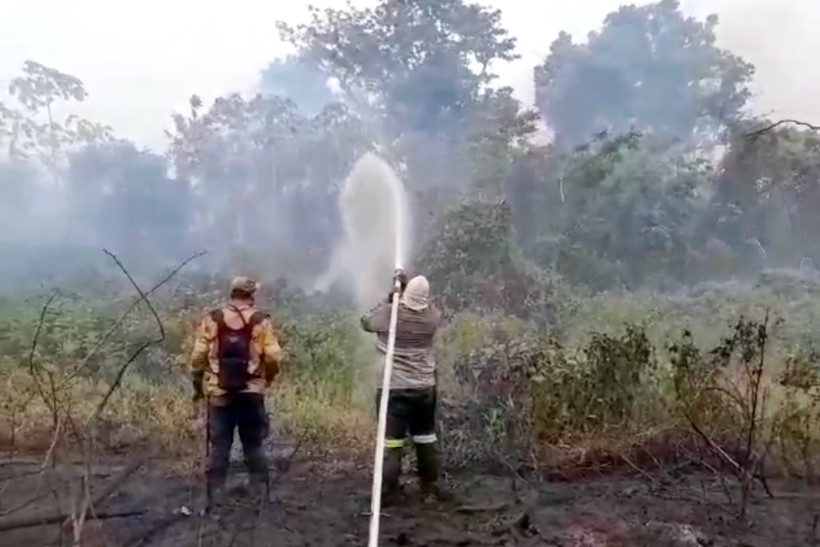 Atualização sobre o fogo no Pantanal – 23/11/2023 - IHP