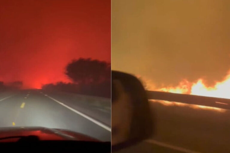 queimadas Pantanal 2023