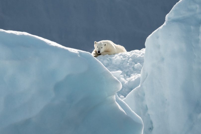 Ártico crise climática verão mais quente