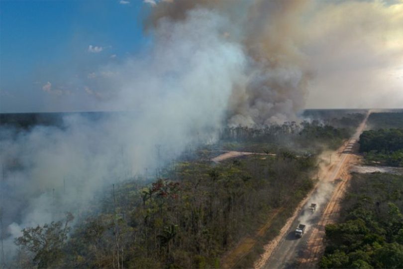 BR-319 queimadas Amazônia