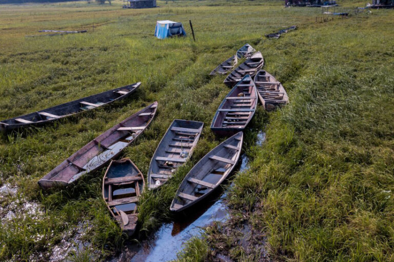 Brasil OCDE mudanças climáticas