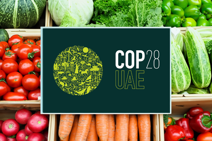 COP28 agricultura e sistemas alimentares