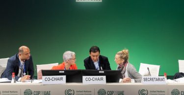 COP28 mercado de carbono