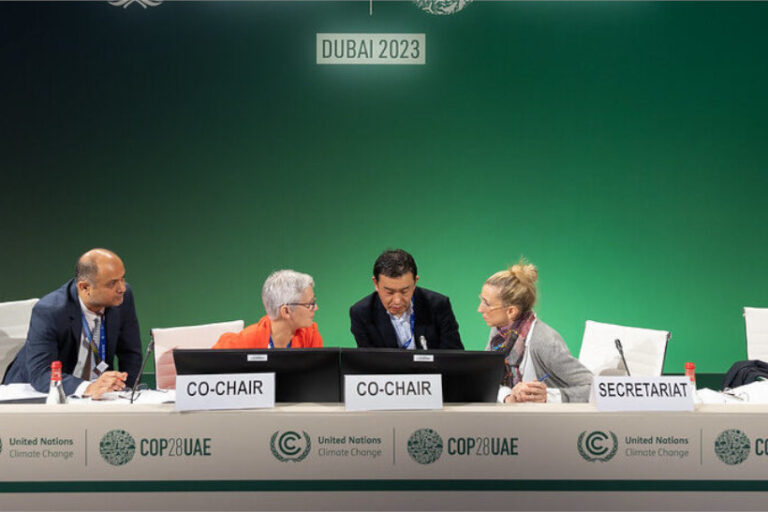 COP28 mercado de carbono