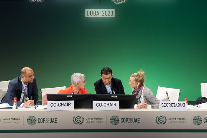 COP28 mercado de carbono