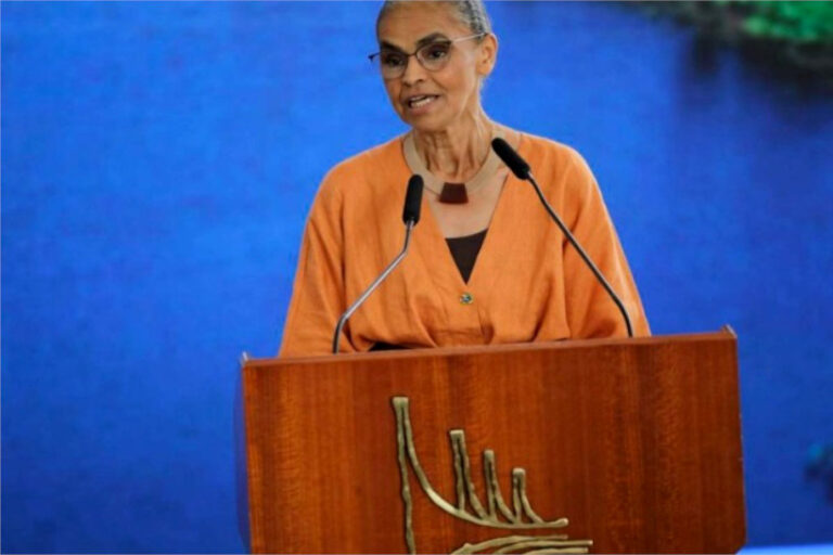 Marina Silva Davos 2024
