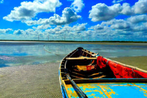 Salvaguardas doc post