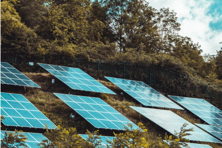 energia renovável recorde