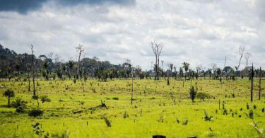 militares desmatamento Amazônia