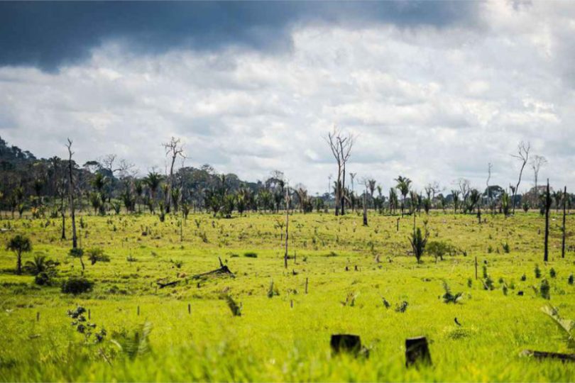 militares desmatamento Amazônia