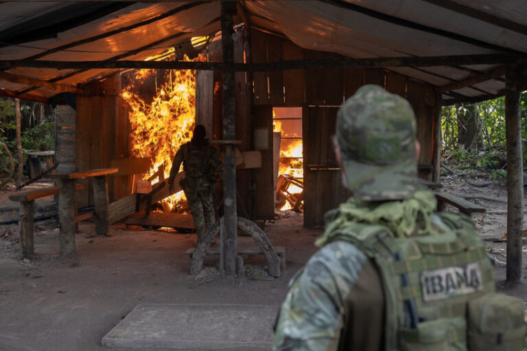 paralisação IBAMA ICMBio