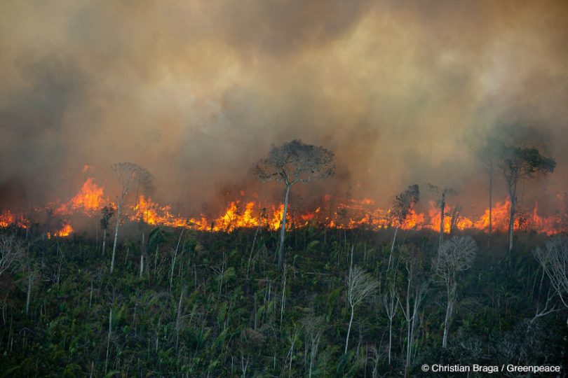 Amazônia colapso 2050