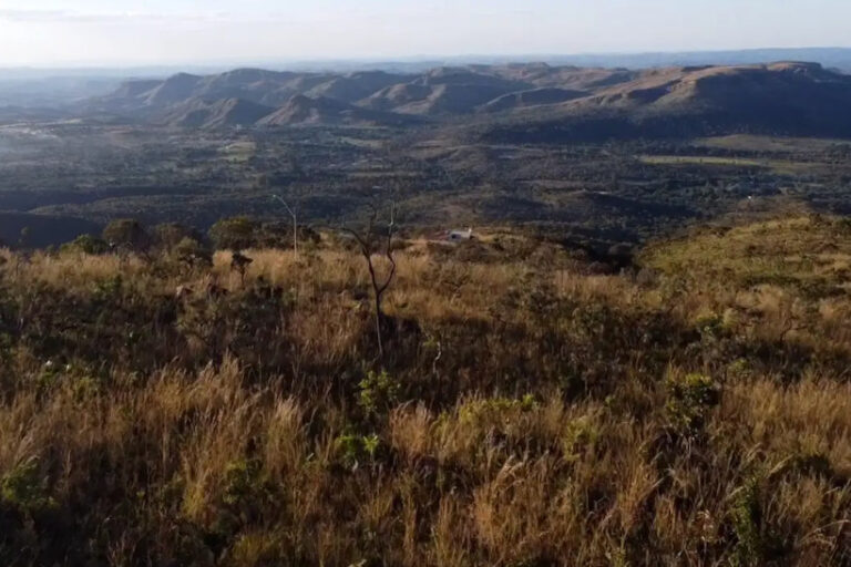 Cerrado desmatamento jan 2024