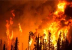 Chile-incêndio-mudanças-climáticas