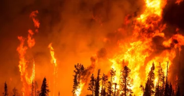 Chile-incêndio-mudanças-climáticas