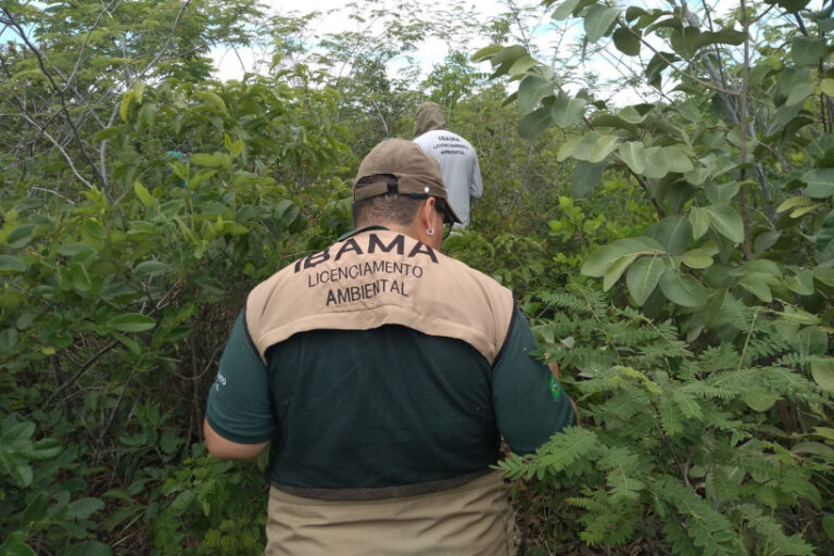 IBAMA paralisação multas ambientais