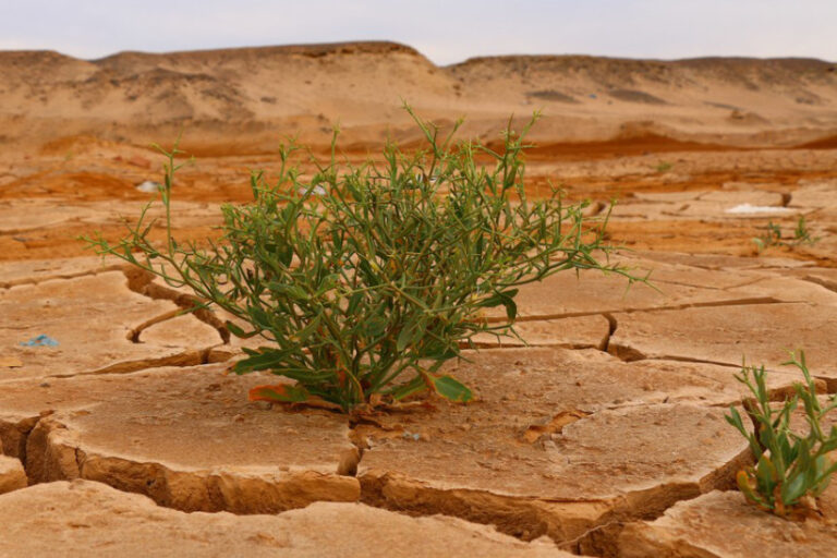 crise climática PIB Brasil