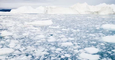 degelo Ártico