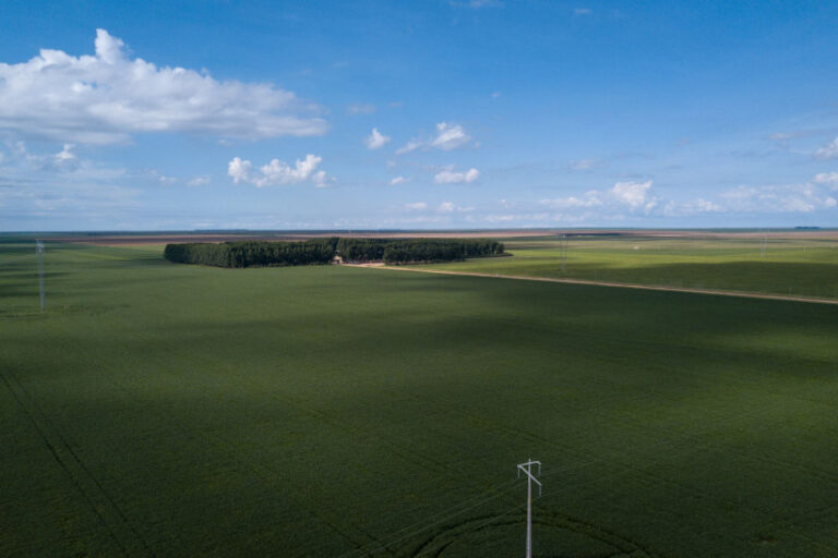 dinheiro público seguro lavouras
