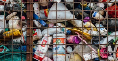 plástico-reciclagem-crise-ambiental