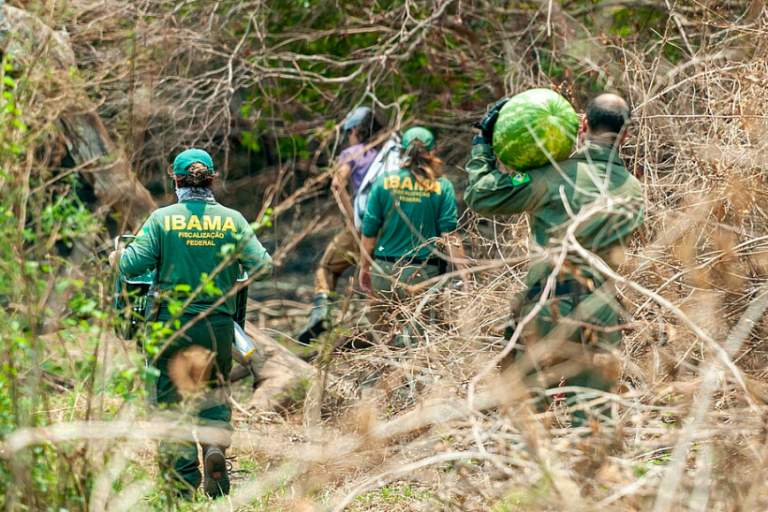 servidores ambientais paralização