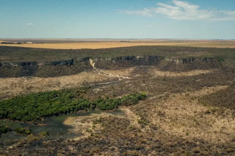 Cerrado desmatamento