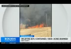 Texas incêndios florestais