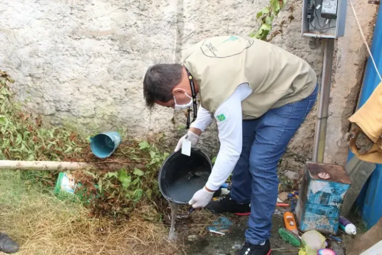 dengue desmatamento crise climática