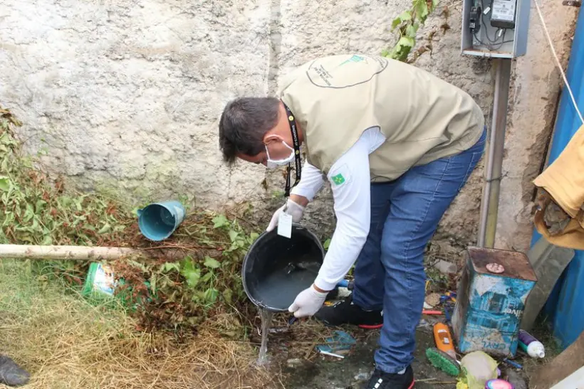 dengue desmatamento crise climática