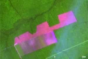 desmatamento Amazônia queda