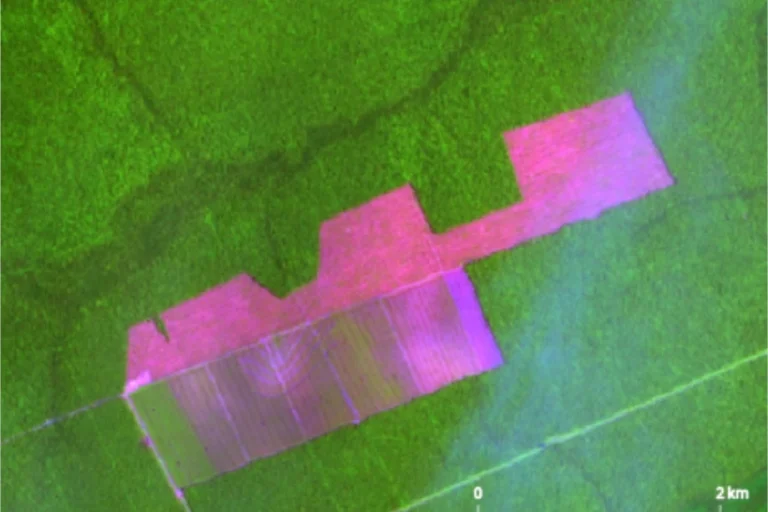 desmatamento Amazônia queda