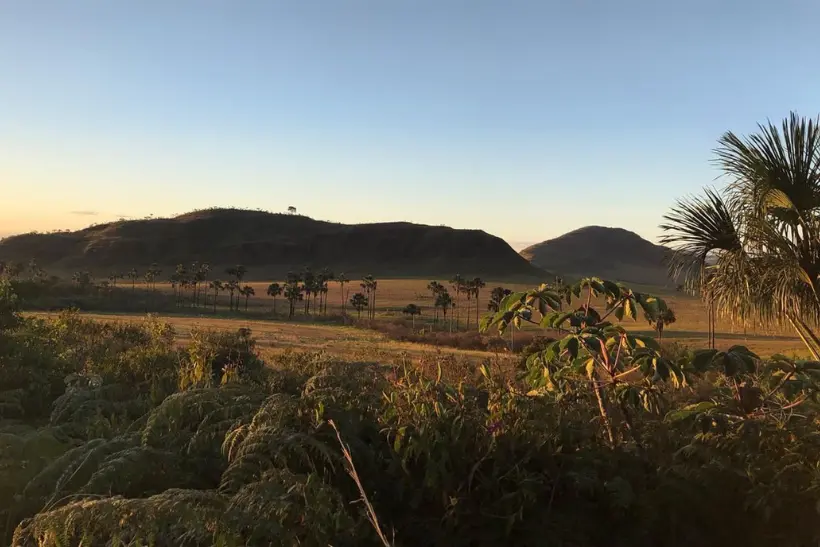 desmatamento vegetação não florestal