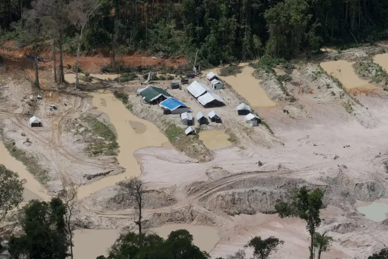 garimpeiros ilegalmente Terra Yanomami