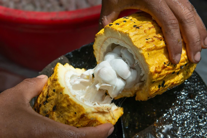 onda calor África Ocidental