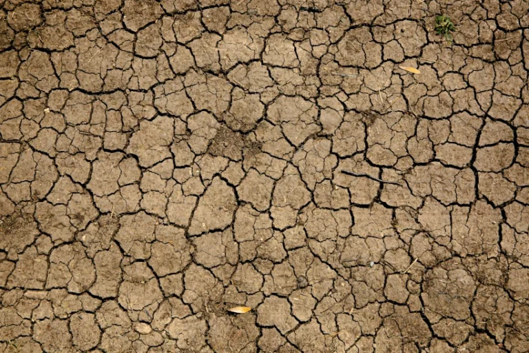 Brasil clima árido