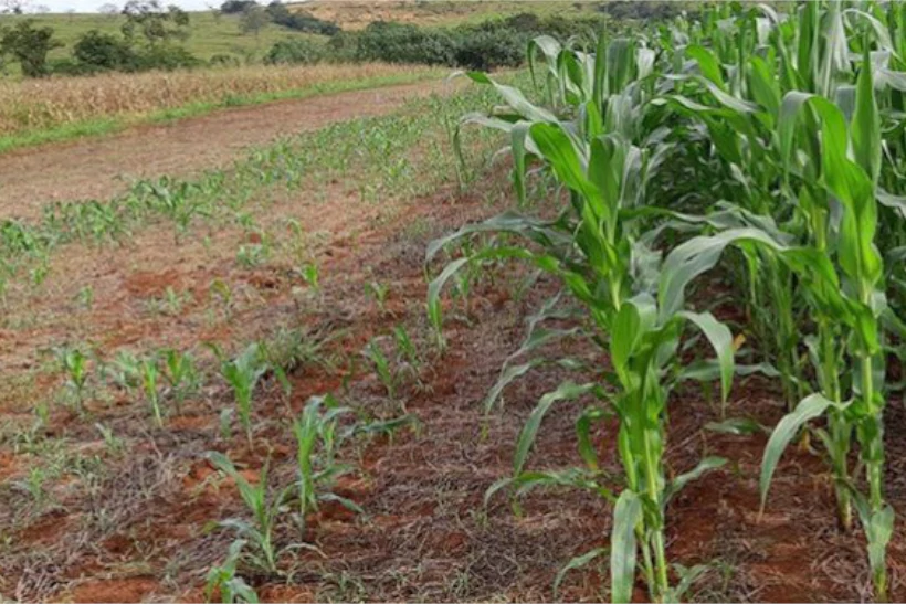 Cerrado produção emissões