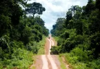 Degradação Amazônia desmatamento