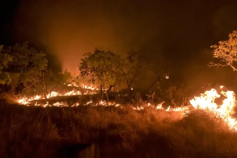 Incêndios áreas de floresta madura Amazônia
