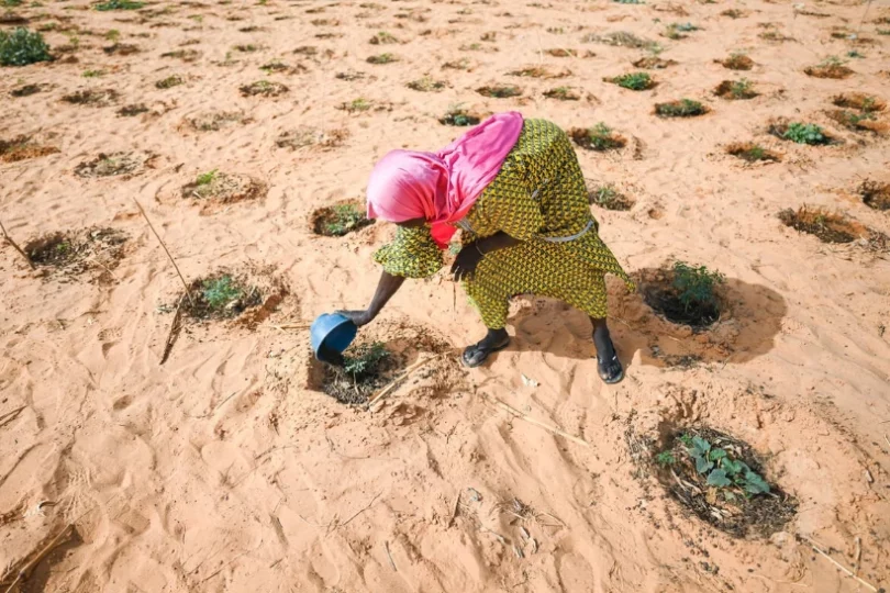 ONU fundo refugiados climáticos