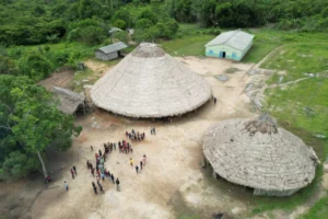 cai desmatamento Terras Indígenas