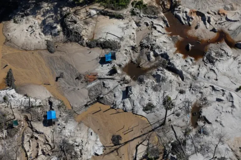 contaminação mercúrio Povo Yanomami