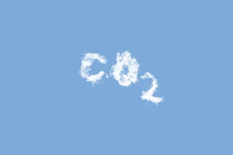créditos de carbono net zero