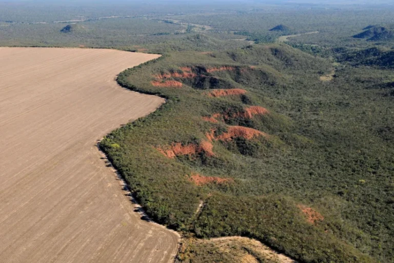 desmatamento Cerrado