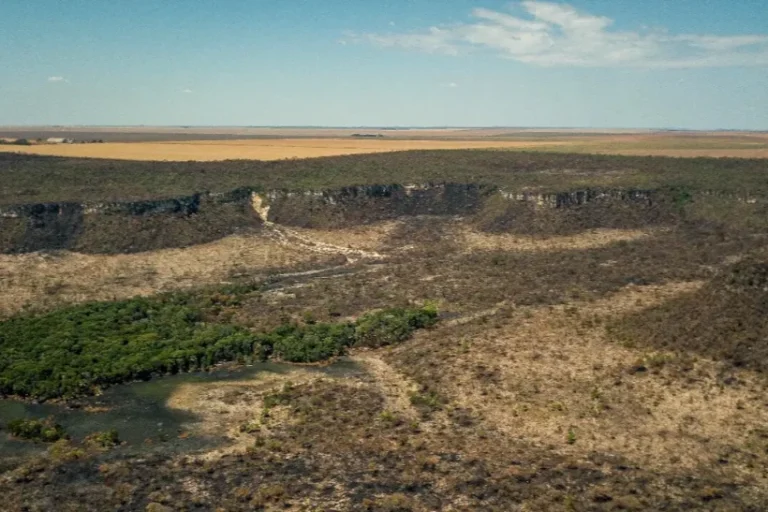 desmatamento Cerrado
