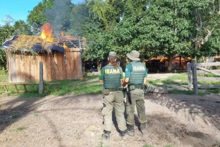 greve proposta trabalhista servidores ambientais