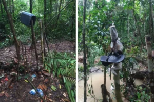 invasores Vale do Javari